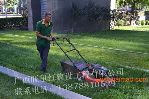 園林綠化工程包您滿意 綠化養(yǎng)護工程方案,園林綠化工程包您滿意 綠化養(yǎng)護工程方案生產(chǎn)廠家,園林綠化工程包您滿意 綠化養(yǎng)護工程方案價格