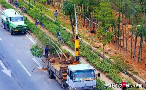 解讀園林綠化施工全過程,教你如何成為綠化行業(yè)大佬