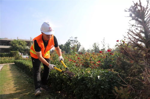 盛夏果實,不負光陰 人文園林綠化施工實操技能培訓圓滿完成
