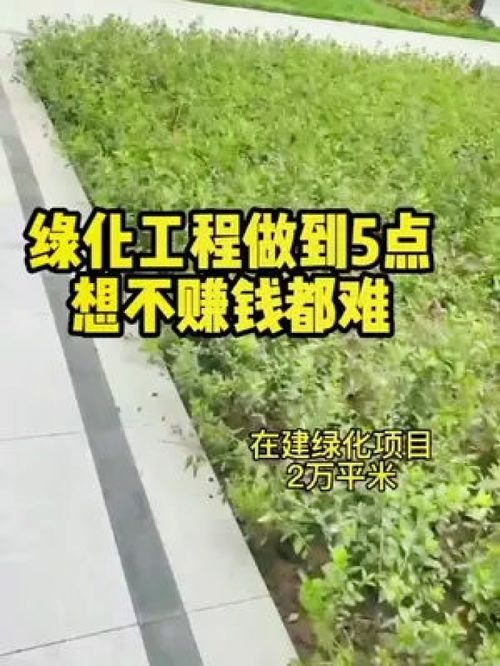 綠化工程 園林綠化 誠信苗木人 精品苗木 園林綠化工程苗木人