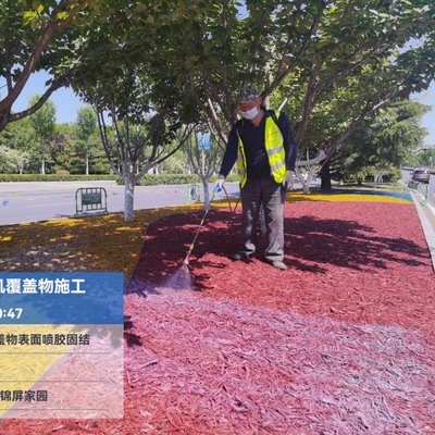 彩色樹皮有機覆蓋物 廣場 園林 公園 綠化帶景觀裝飾市政工程施工