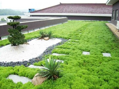 菏澤市綠化工程公司優秀企業推薦