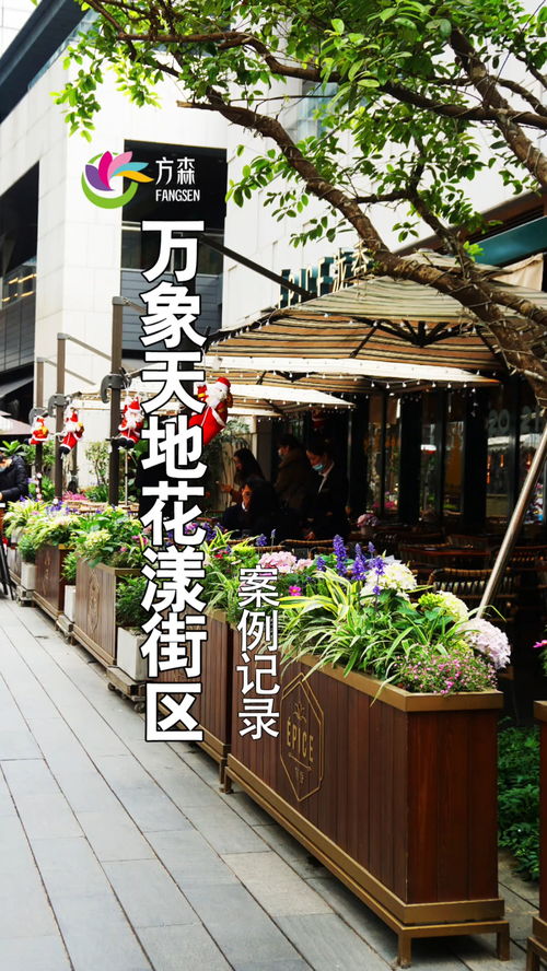 深圳南山萬象天地花漾街區(qū) 案例記錄 園林綠化 園林設(shè)計(jì)施工 廣東花境設(shè)計(jì) 花箱 生活處處是風(fēng)景