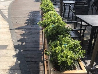 圖 別墅庭院花園設(shè)計(jì)施工 園林園藝設(shè)計(jì)綠化工程養(yǎng)護(hù) 上海鮮花綠植