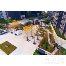 【佛山園林綠化施工、綠化工程承包、種花種苗、修枝移栽】-