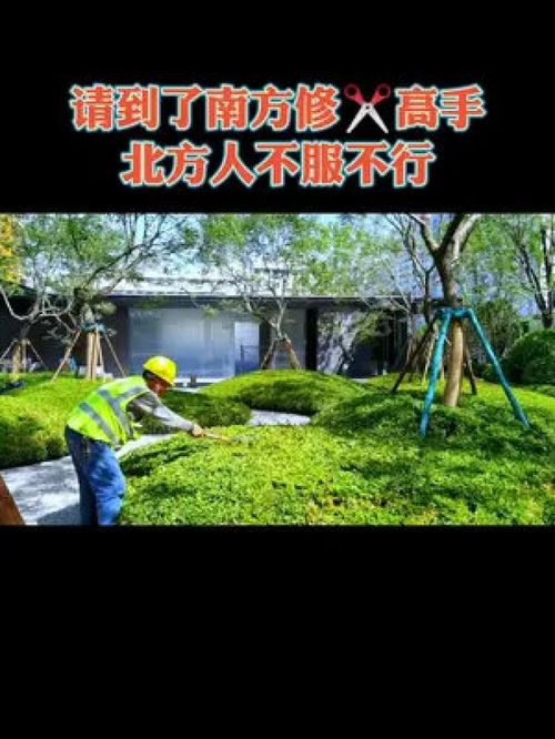 天津的園林施工水平還有很大提升空間,尤其是市政綠化,房地產(chǎn)近幾年已經(jīng)在南方工人的帶動(dòng)下有了一些進(jìn)步,還需要繼續(xù)學(xué)習(xí) 園林綠化