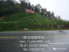 湖北省隨州市外環(huán)連接線邊坡復(fù)綠工程
