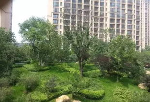 這些園林綠化工程施工技術(shù)規(guī)范,值得你花時間學(xué)習(xí)一下