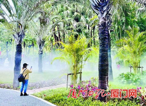 中山公園綠化景觀改造提升完工在即 亮點多多值得期待