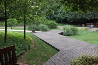 國內園林綠化對苗木的新標準