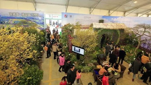 劇透 10萬 蕭山人都在做這行 明天起他們要搞一場大活動