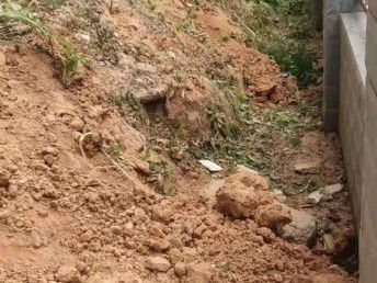 圖 東莞松山湖私家花園別墅庭院園林景觀綠化設計施工 東莞鮮花綠植 東莞列表網