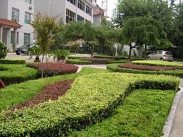 濰坊麗景園林景觀設計 2009年園林綠化工程 園林
