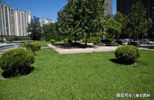 園林綠化之造景理念創新思維 八音石園林