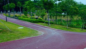 加強園林綠化工程建設 提升城市園林綠化水平