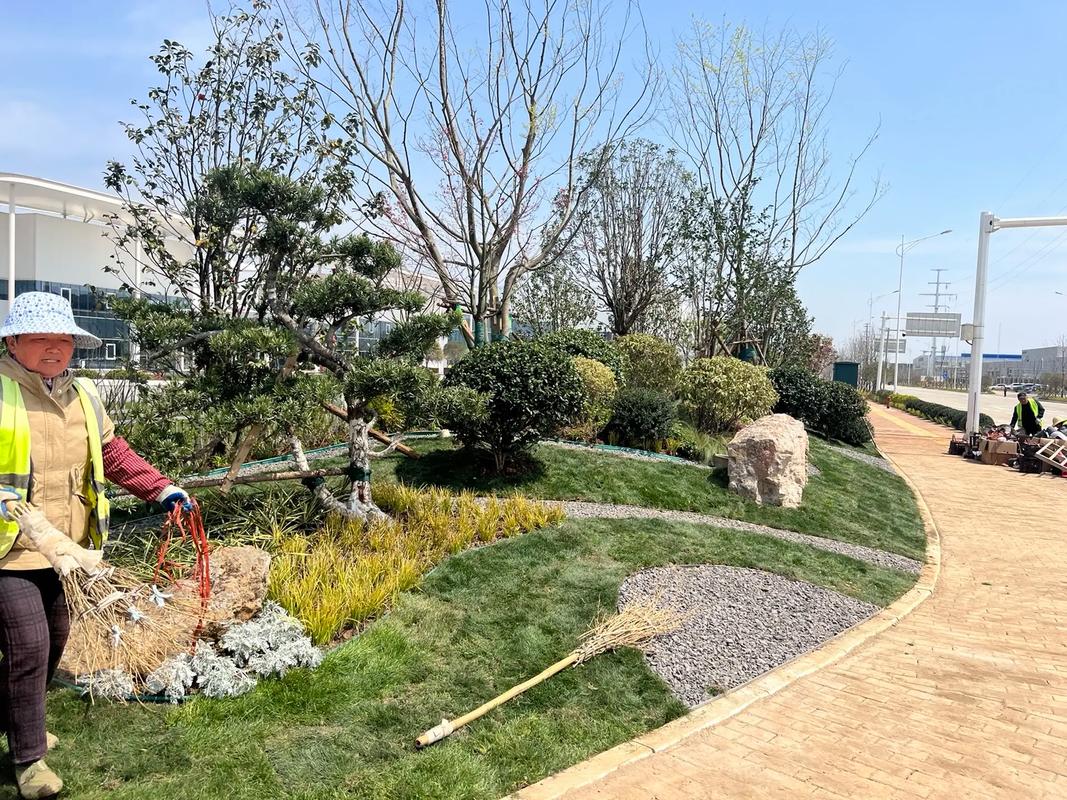 園林綠化工程 #施工現場實拍